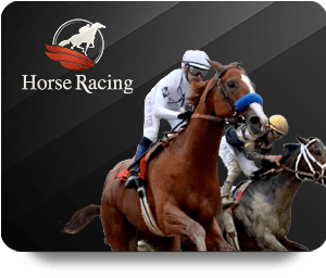 Discover the Excitement of SBOTOP Live Dealer Hot Casino Experience!